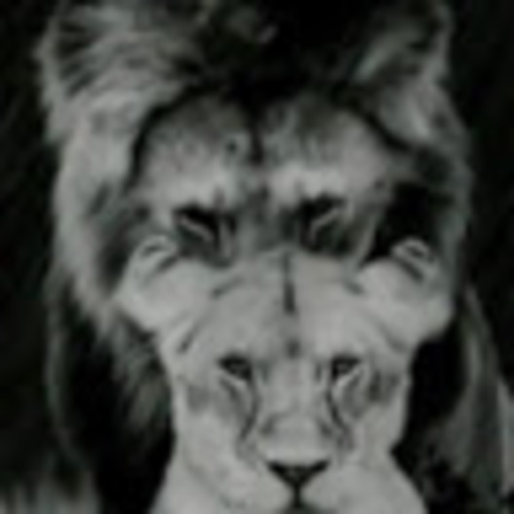 Meet your Posher, Rubyroo - Picture 1 of 1